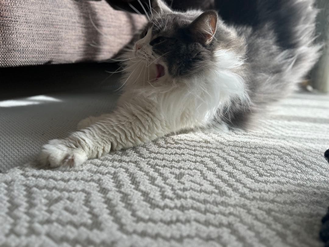 TAMRON 70-300mm F/4.5-6.3 eマウント