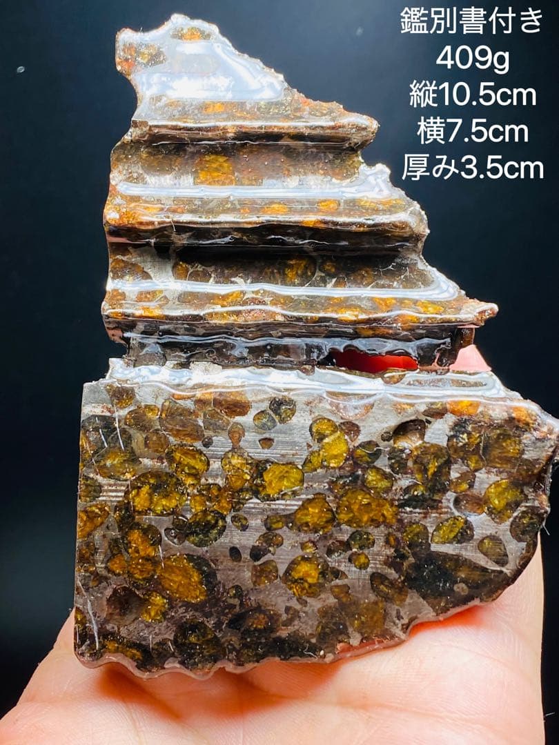 鑑別書付き パラサイト隕石 409g 鉄隕石 セリコ隕石 高品質105㍉筆立て