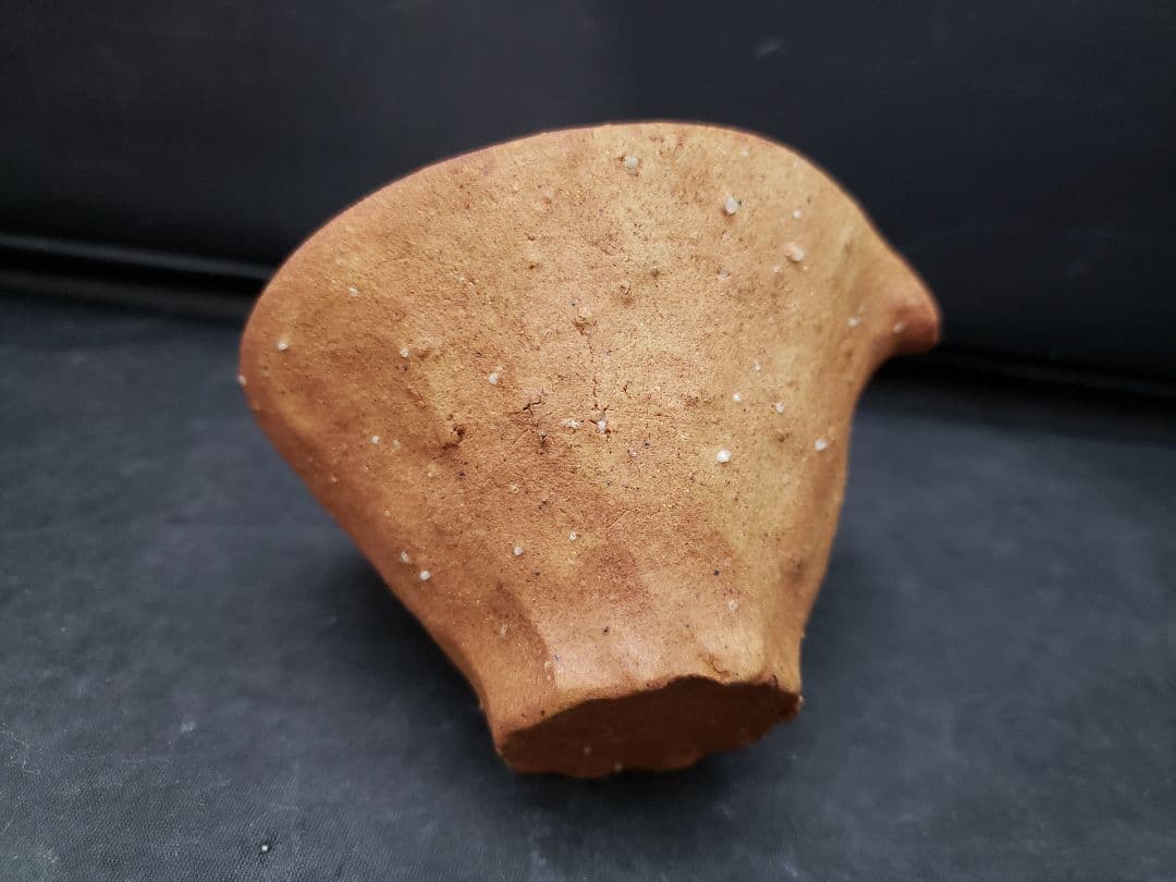 信楽焼 煎茶器 神崎紫峰 手捻り 急須 湯呑み5客 湯冷まし 煎茶道具 作家物