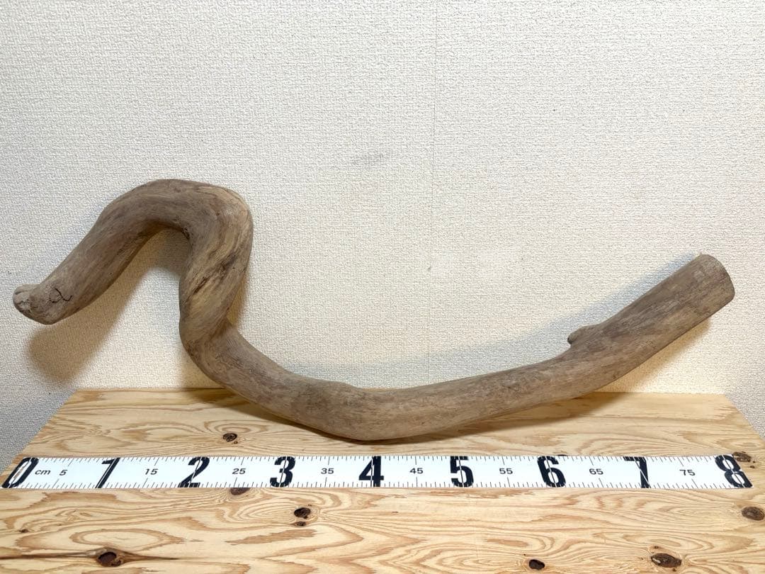 G79 灰汁抜き処理済 流木 爬虫類 両生類シェルター 観葉植物