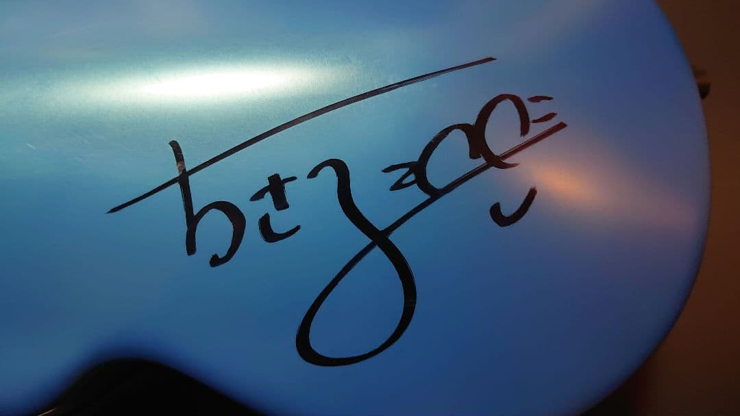 【高嶋ちさ子直筆サイン入り】BAM(バム) バイオリンケース 2002XLB