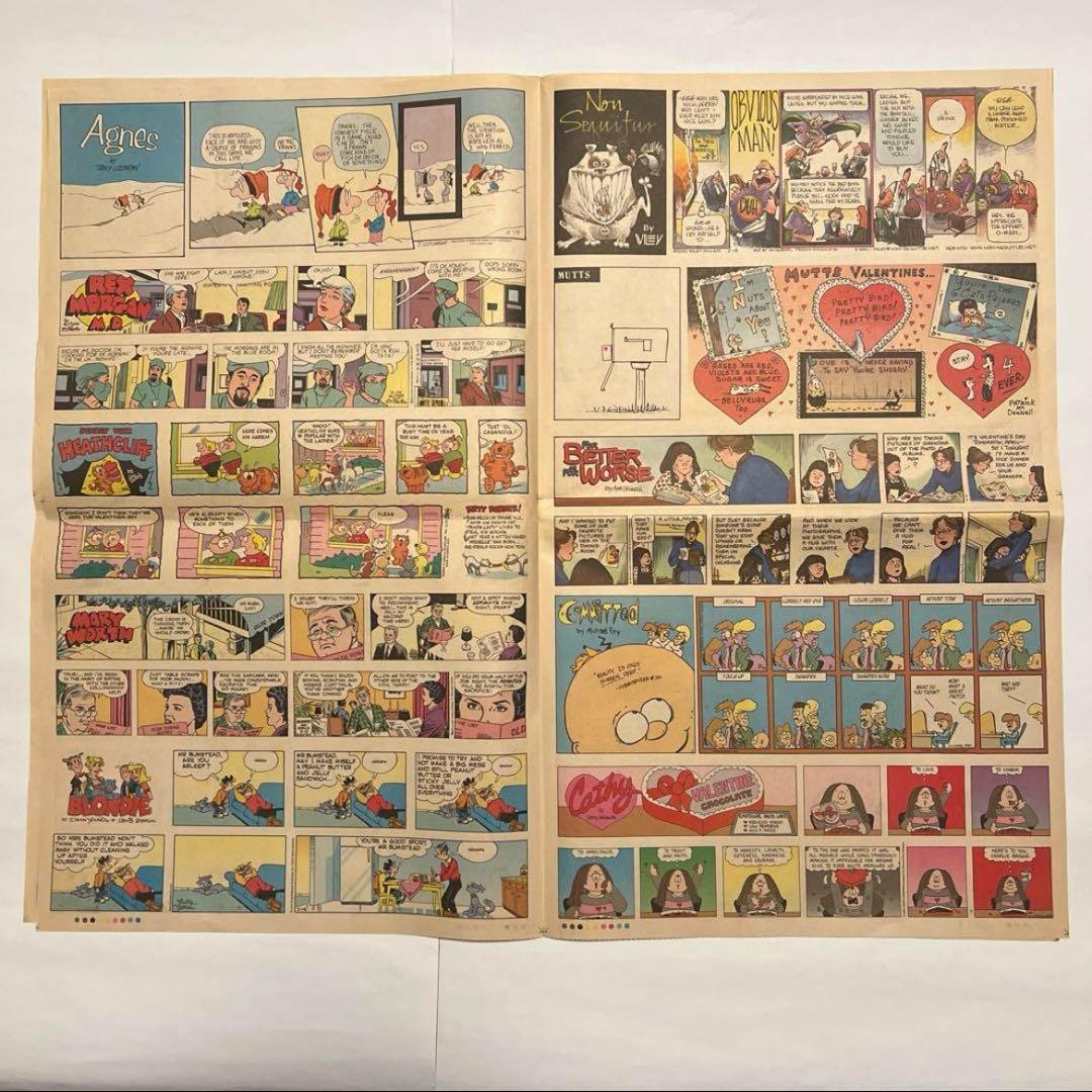 値下げ不可】スヌーピー最終回新聞 （ガーフィールド） 2000年2月13日