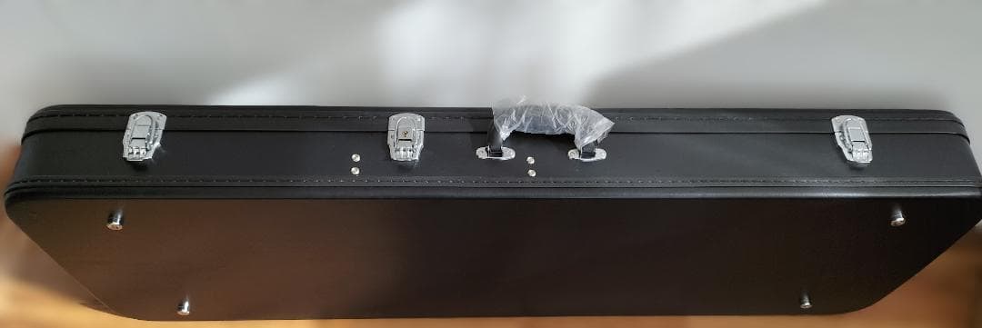 a5115様専用 新品epiphone Firebird【専用ハードケース付属】