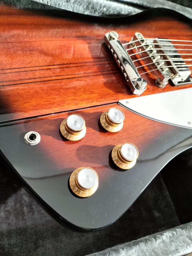 a5115様専用 新品epiphone Firebird【専用ハードケース付属】