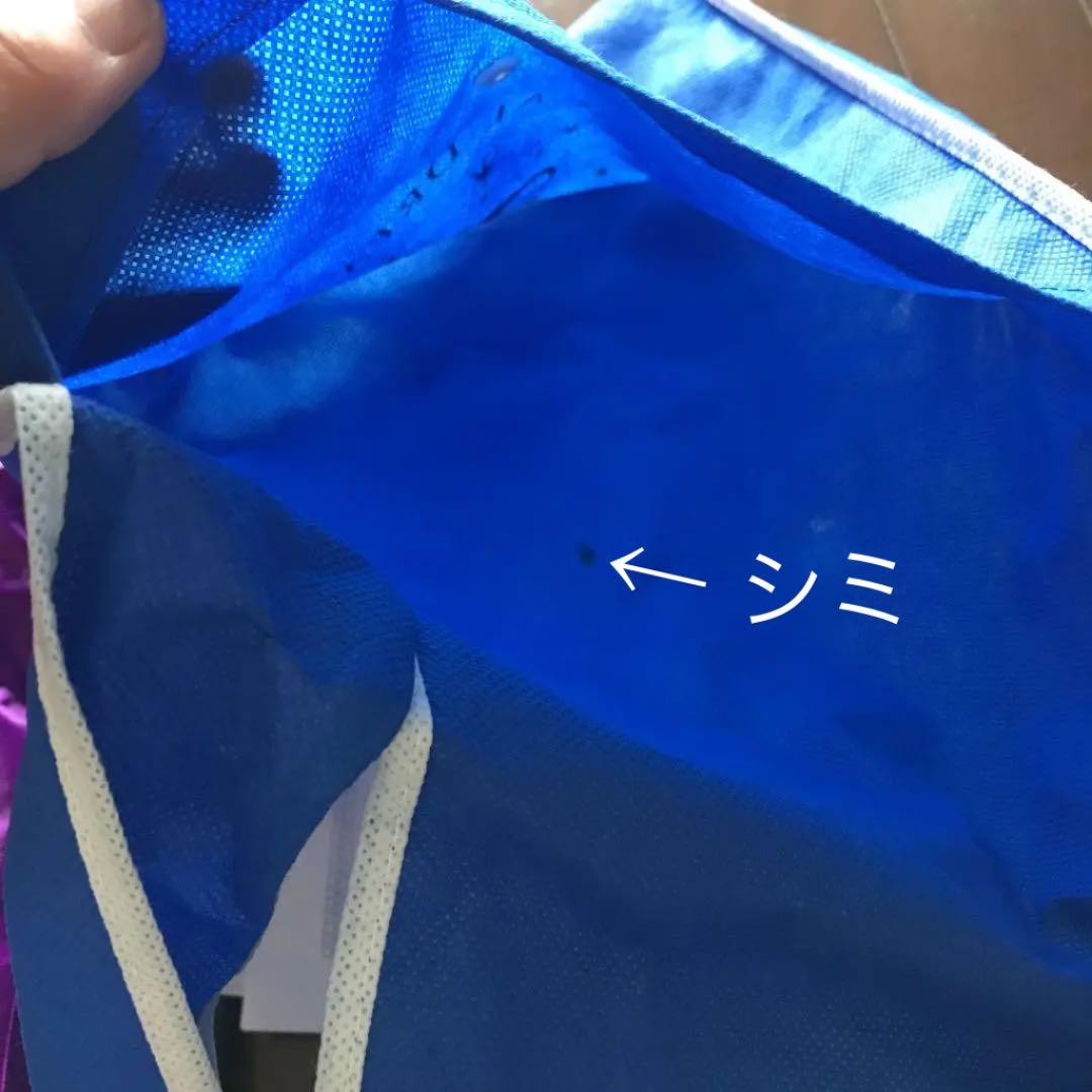 ディズニーランド 25周年 ドリームアート 非売品 限定