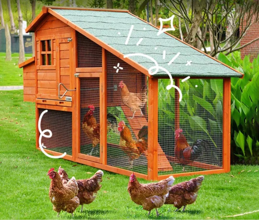 新品未開封】鶏小屋 鑑賞用 ニワトリ うずら うさぎ 鳥 など用 カゴ