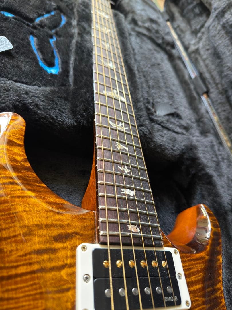 PRS2025Custom24 10Top Black Gold【1P Top】