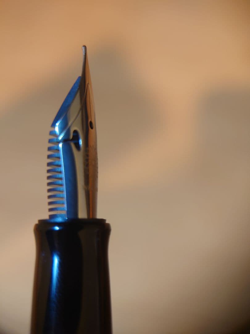 WANCHER　世界樹漆　フレックスニブ　字幅F 細字　万年筆