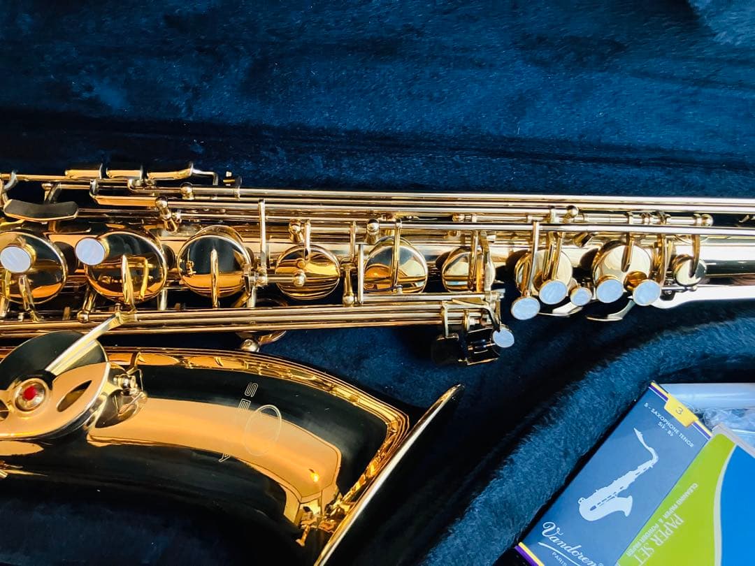 Selva テナー サックス 美品 付属品多数 セット