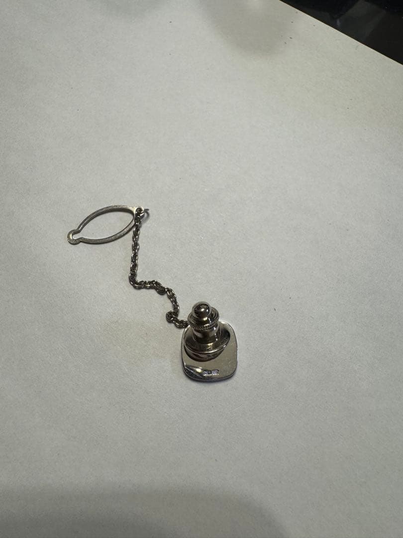 銀杯約205g その他銀24g シルバーF64g