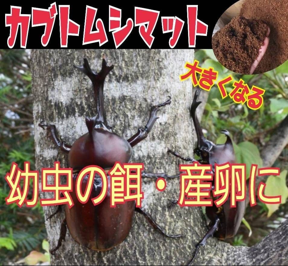 カブトムシ幼虫の餌、産卵にはコレです！改良版！発酵マット50L☆大きく