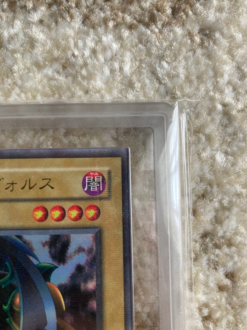 ワッター　8月31日12時迄　ブラッド・ヴォルス ウルパラ　ARS8