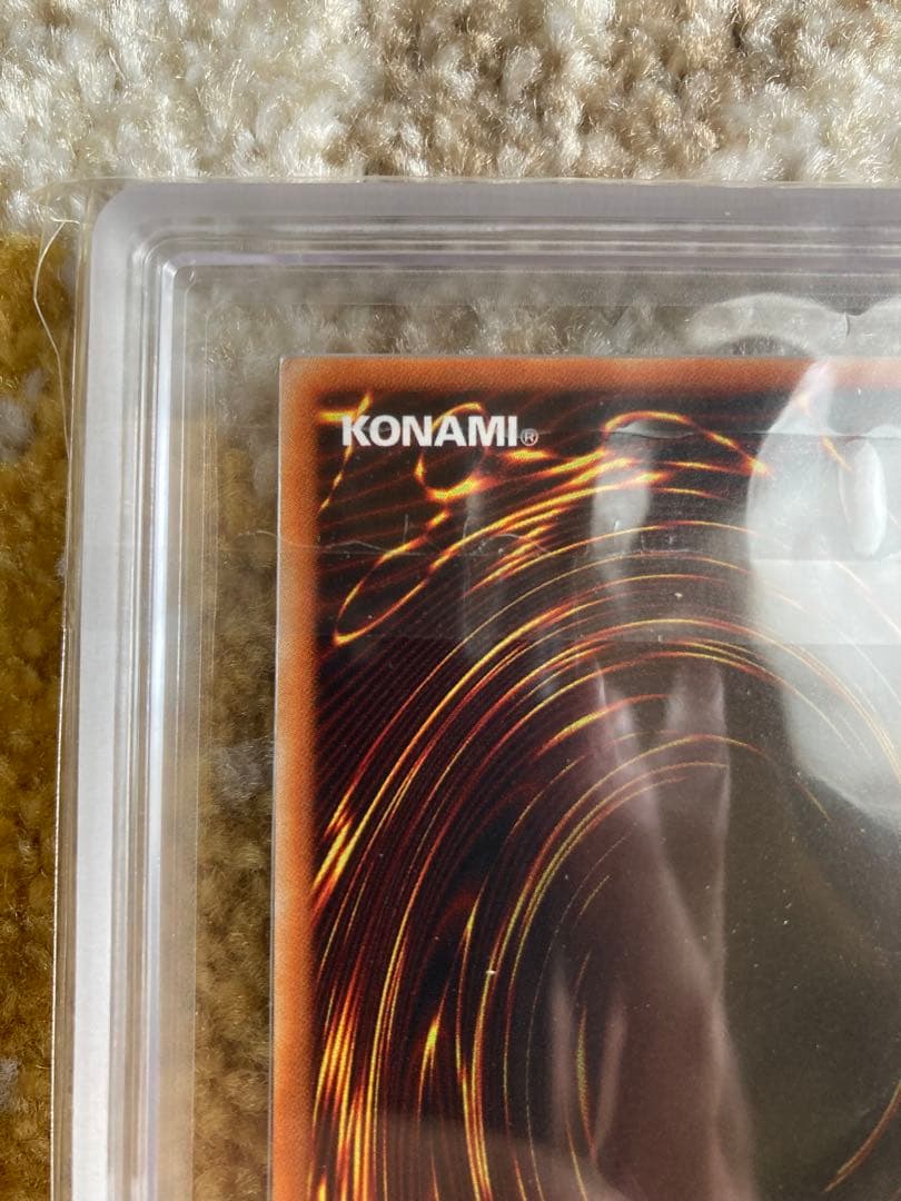 ワッター　8月31日12時迄　ブラッド・ヴォルス ウルパラ　ARS8