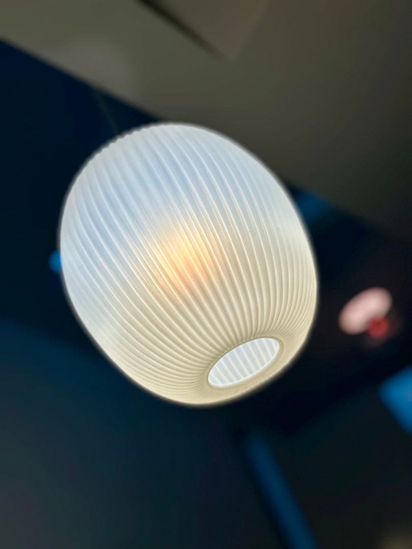 仏70年代 Aloys F. for Erco ヴィンテージ・ペンダントランプ