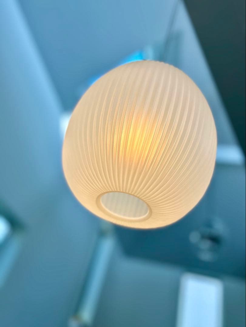 仏70年代 Aloys F. for Erco ヴィンテージ・ペンダントランプ