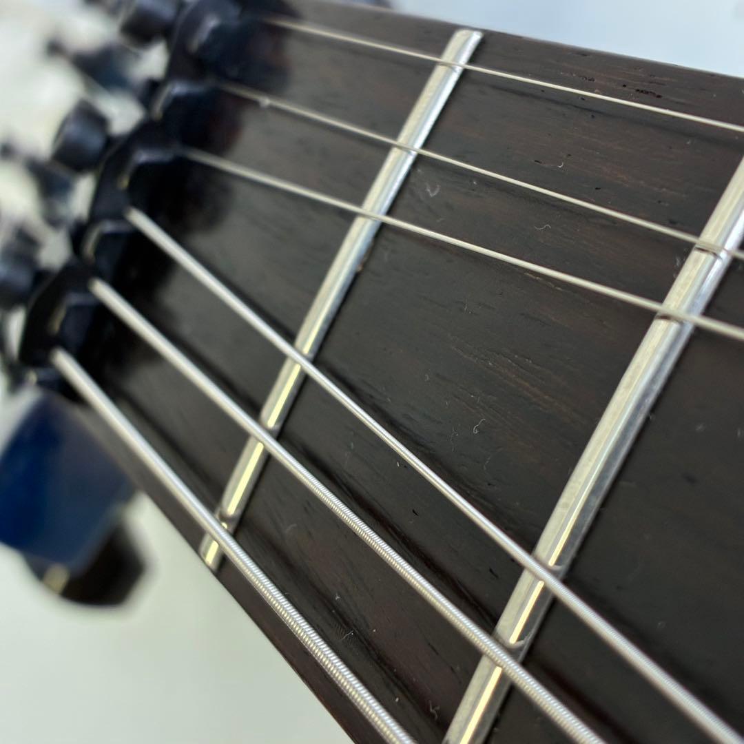 grass roots フォレストタイプ シースルーブルー 虎杢目