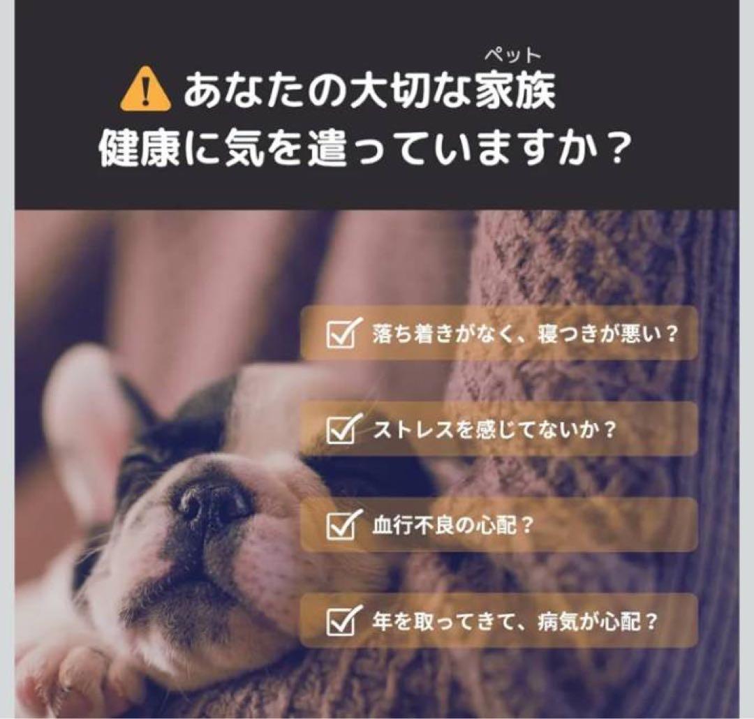 ZAAP Pemily 医療機器搭載 ペット用ネックレス 首輪