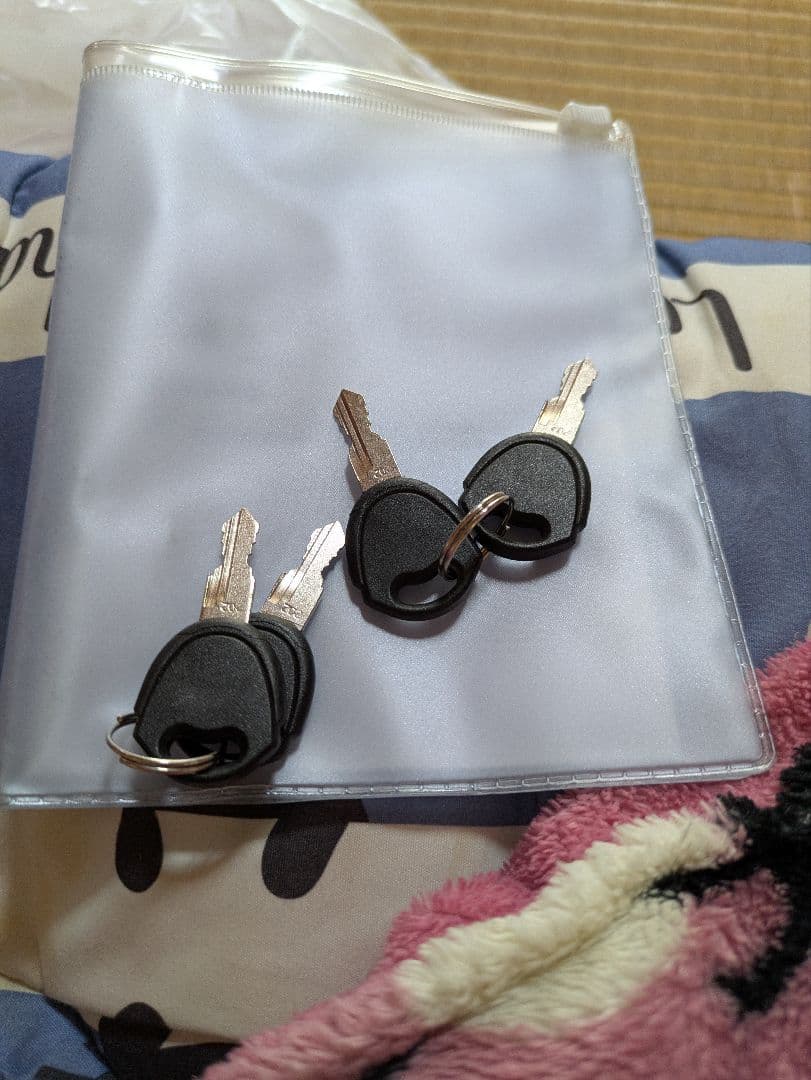 柏崎星奈　僕は友達が少ない　アニメキャラクター キャリーカート　キャリーケース