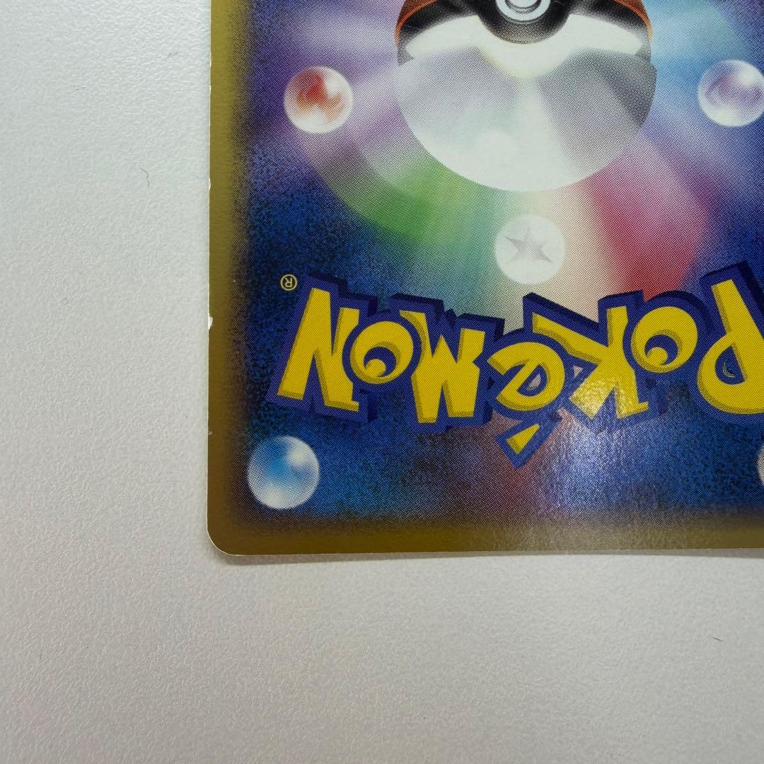 ポケパークのピカチュウ P [PCG-P 043](プロモ48