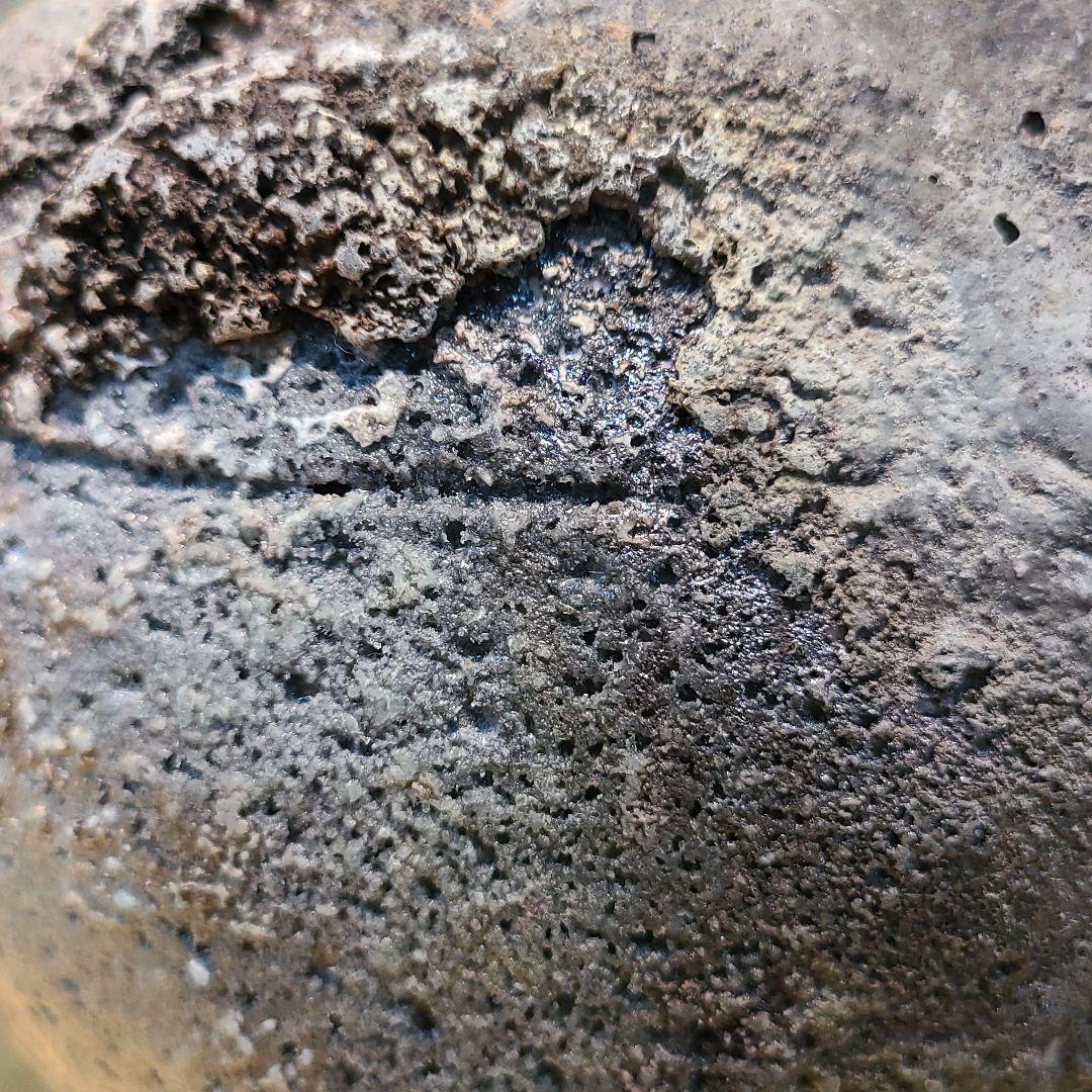 信楽焼 鈴木大弓作 蹲壷 高さ7.5寸（約23cm） 共箱 本物保証