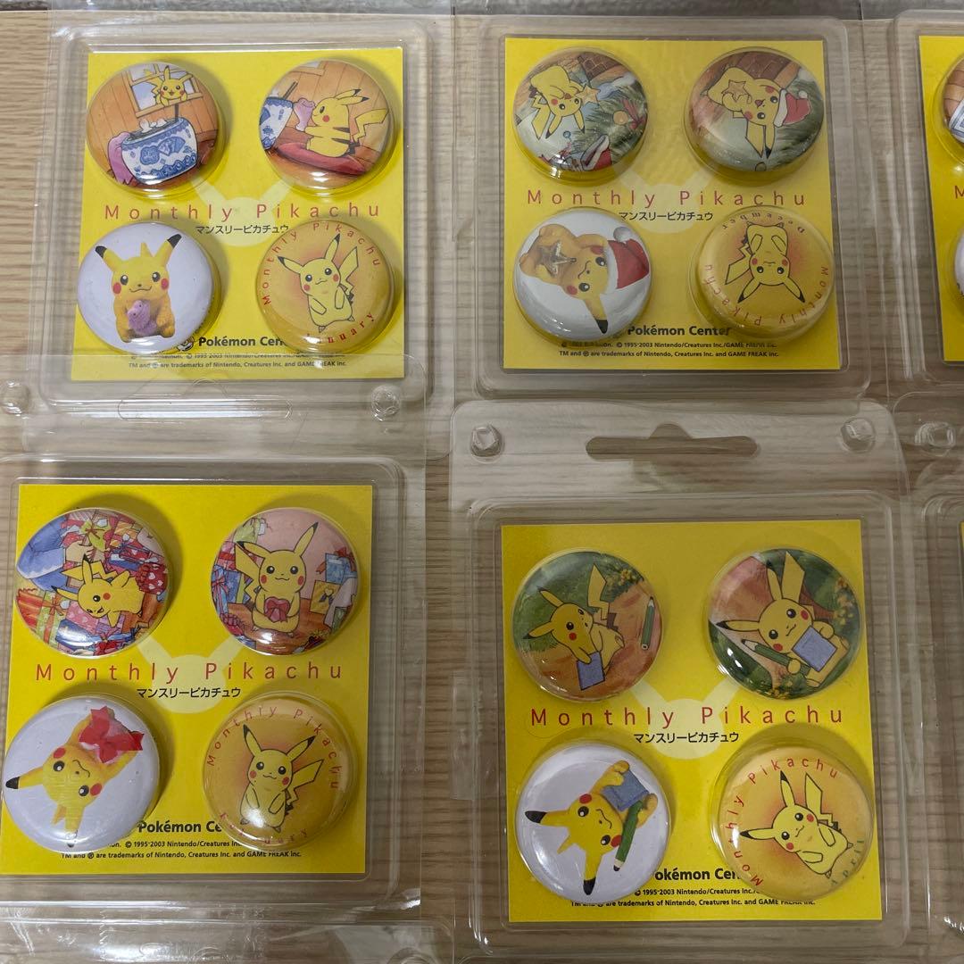 Monthly Pikachu ピンズ 12個セット ポケモンセンター 2003
