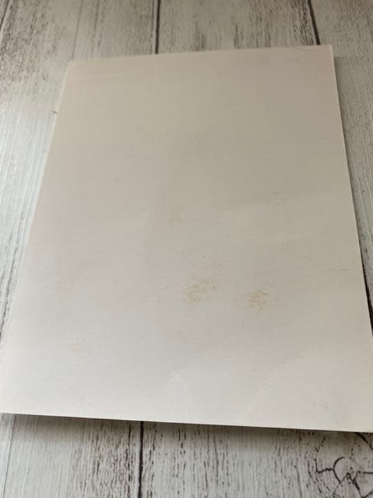 スタンピンアップ Stampin'up Shake & Celebrateセット スタンピン