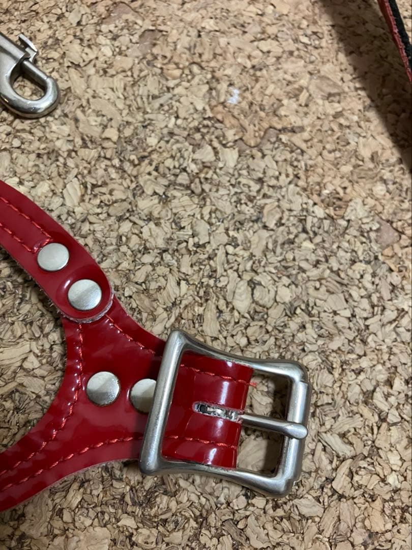 BUDDY BELT エナメルレッド 限定 3.5 ハーネス＋リードSセット