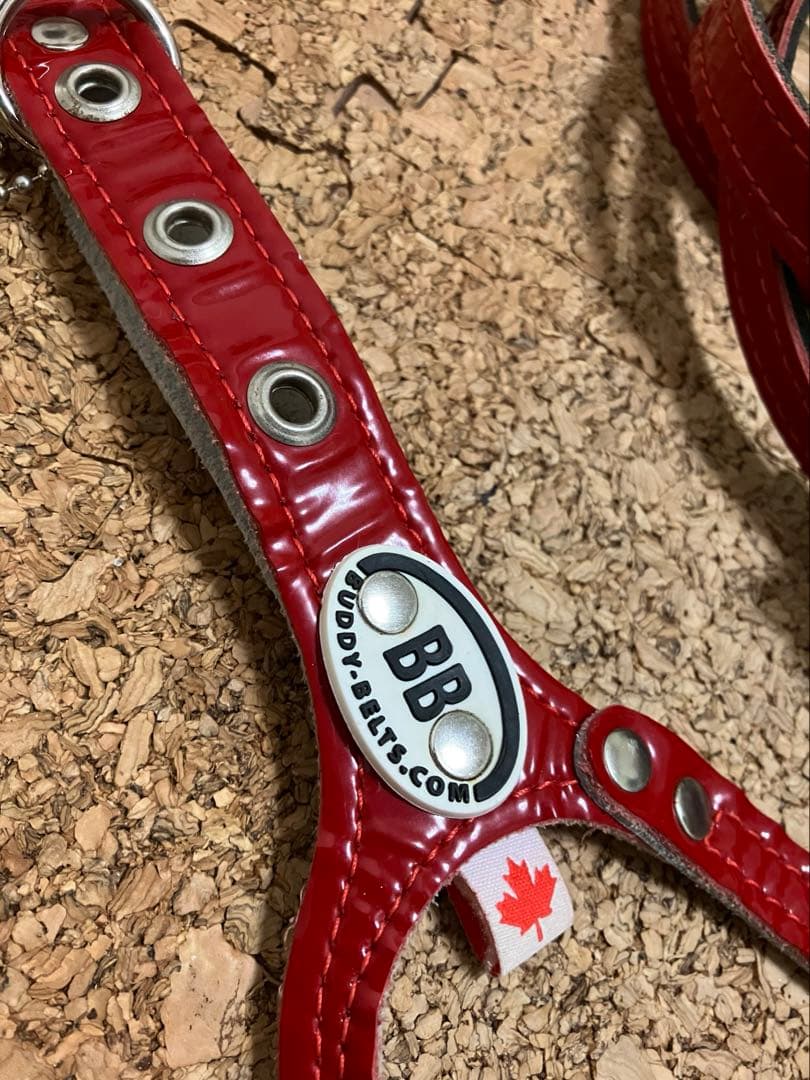 BUDDY BELT エナメルレッド 限定 3.5 ハーネス＋リードSセット