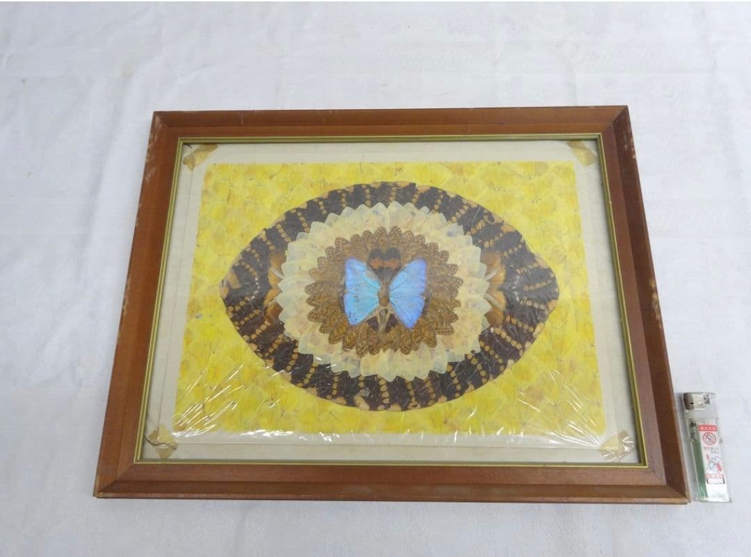 蝶絵画蝶の羽羽根細工バタフライアート