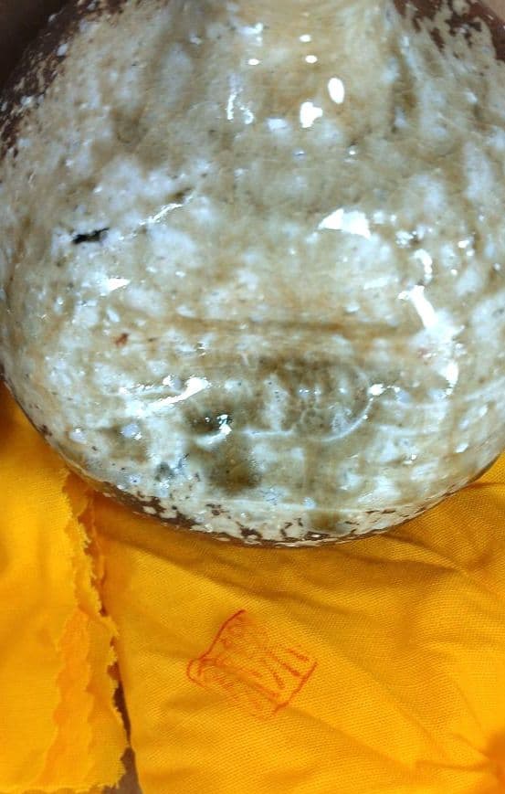 【本物保証】高橋楽斎2セット 信楽ぐい呑揃(三点）徳利ぐい呑(組）全共箱 未使用