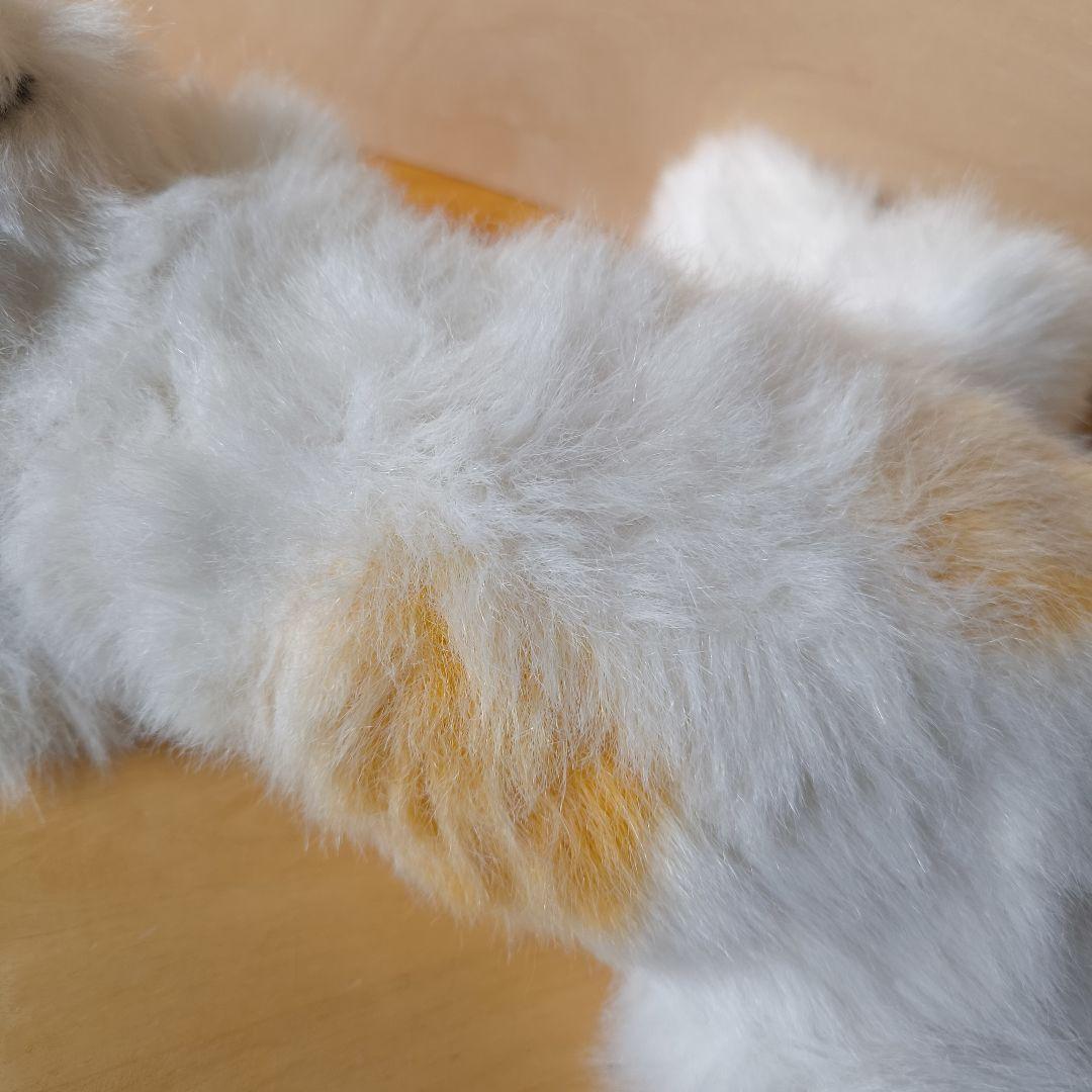 昭和レトロ 希少 レア オオイケ 三毛猫　ペルシャ猫　ペルシャねこ　Oike