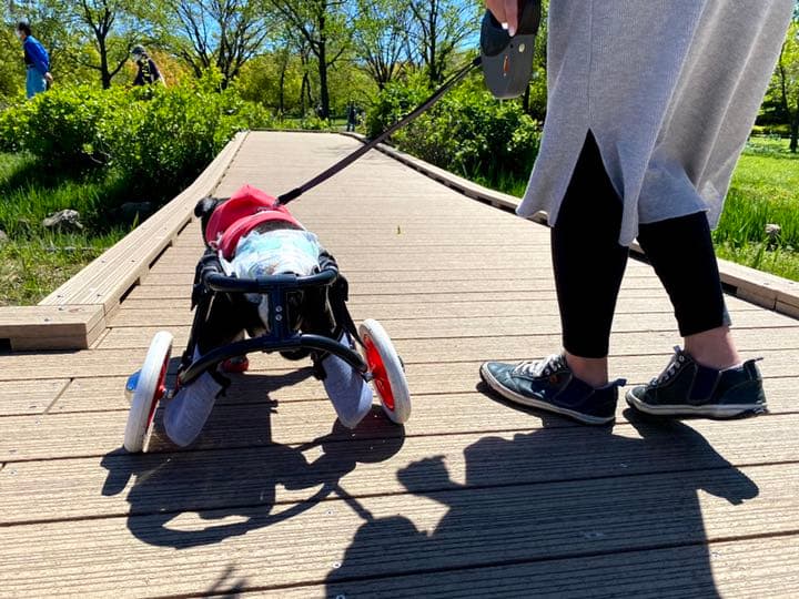 犬用車椅子 散歩行こうCar 中型（体重8kg～15㎏未満） 障害や病気