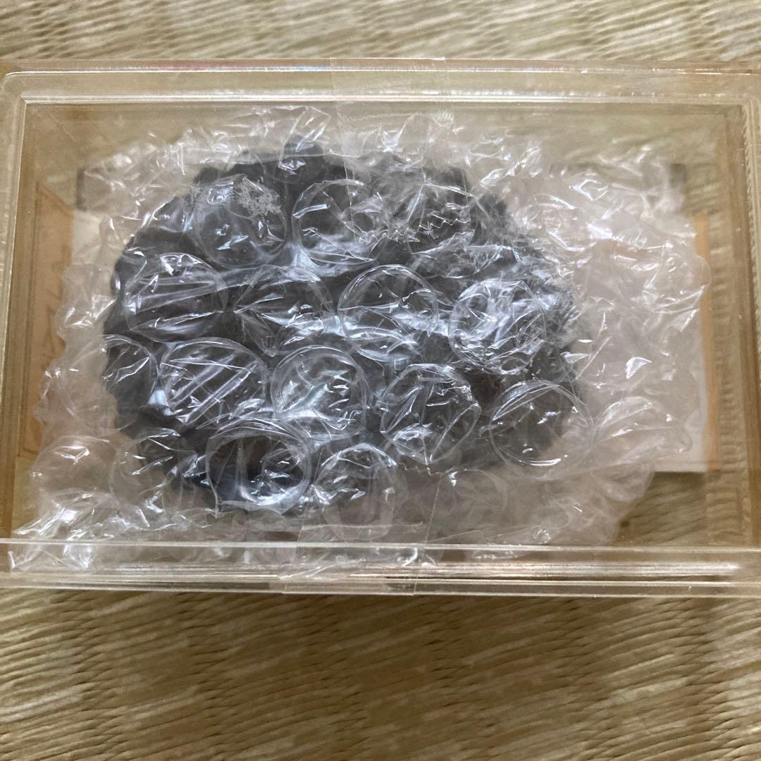 ブラック！アンモナイト ペルー産 白亜紀 リエリセラス腕足類