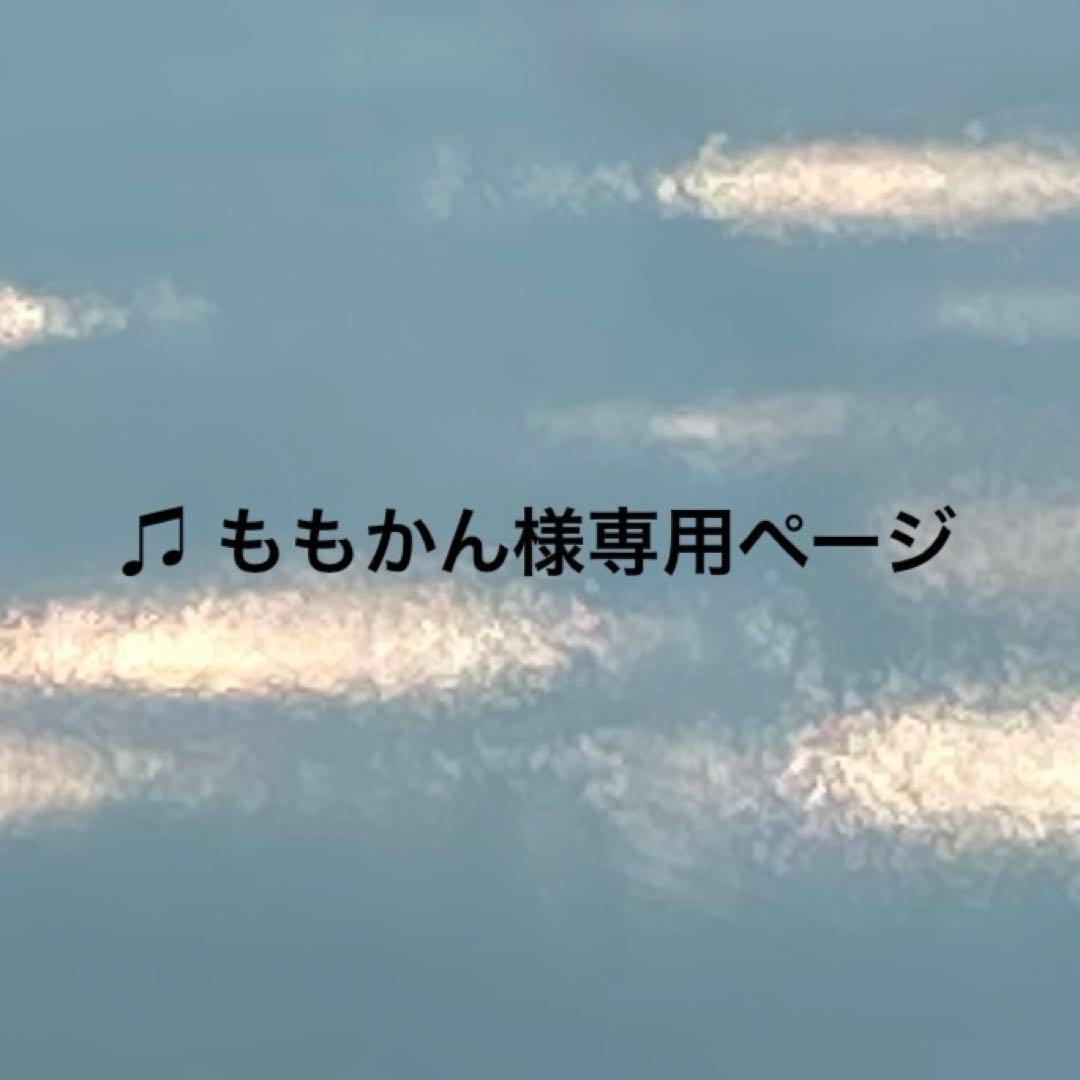 専用ページ】他の方ご購入をお控えください メルカリで専用出品を