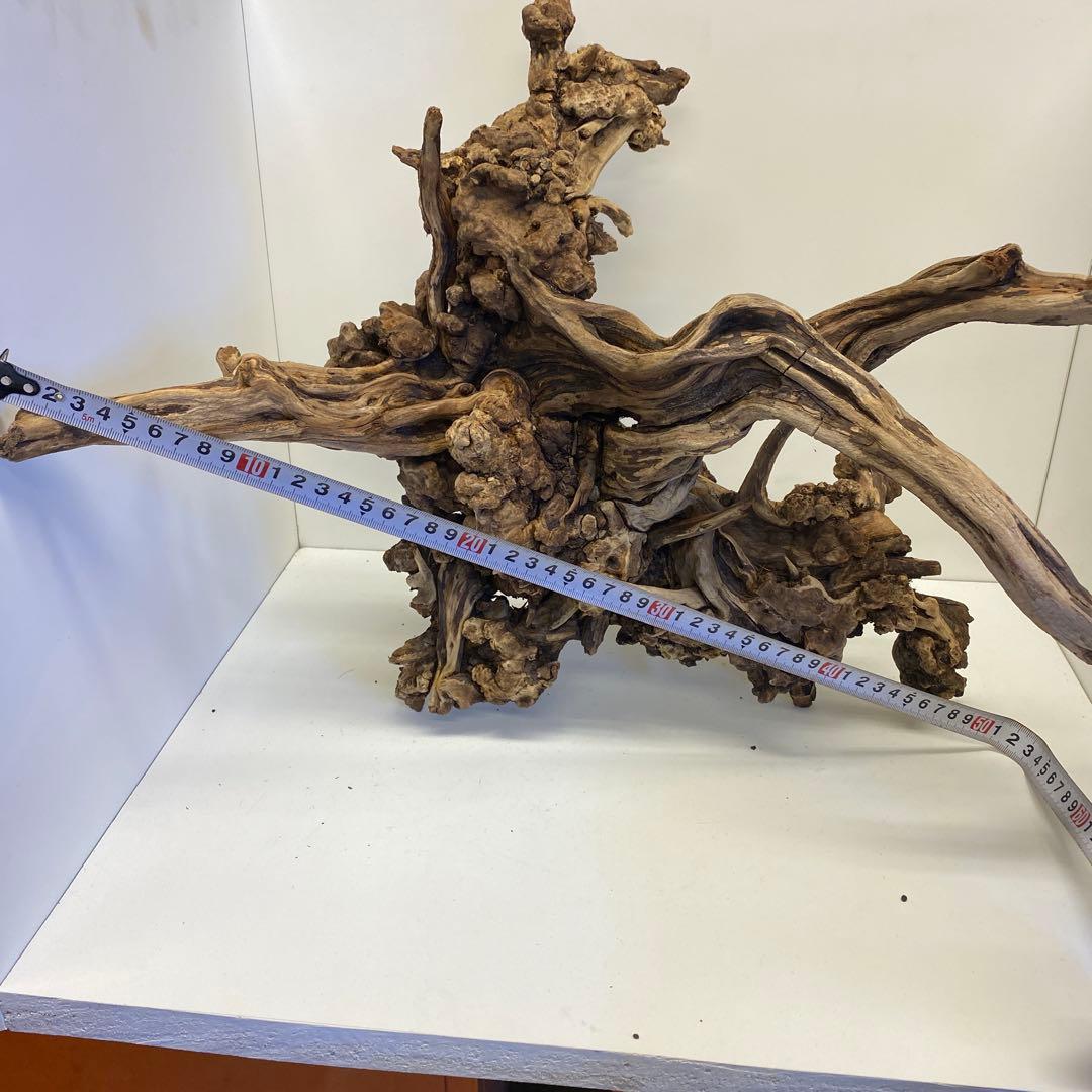 MSRW-6734 天然流木1点物 スリムウッド アクアリウム