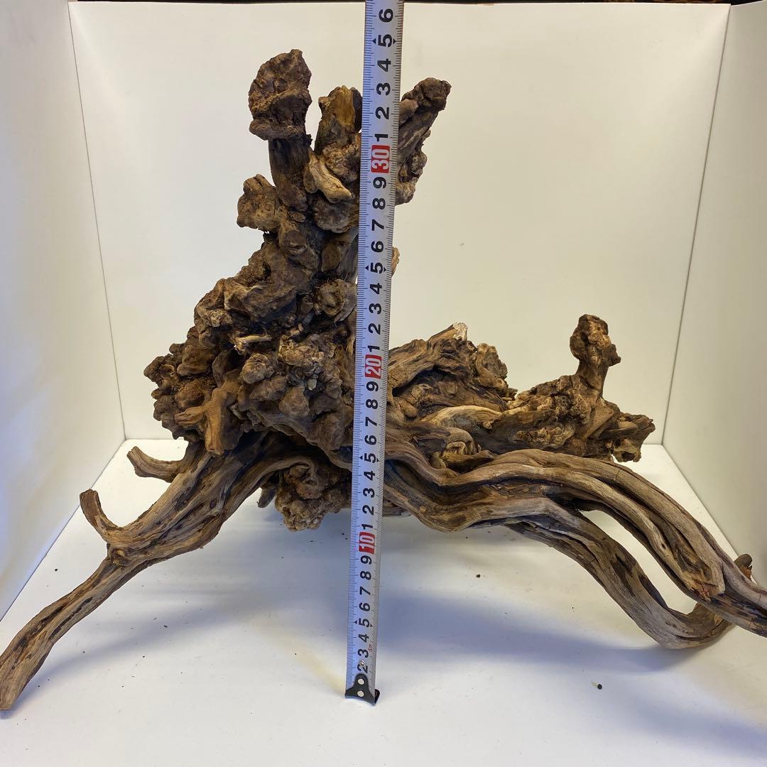 MSRW-6734 天然流木1点物 スリムウッド アクアリウム 魚用品・水草