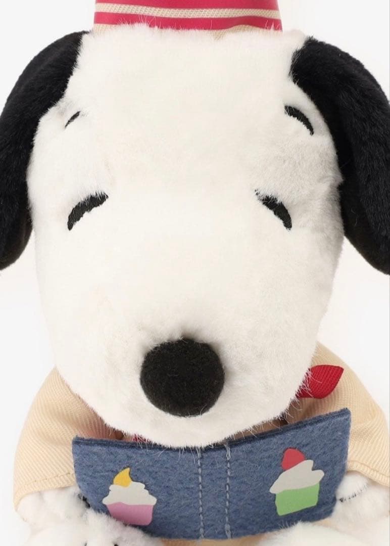 ぬいぐるみ6体セット×2/PEANUTS HS84 JM40