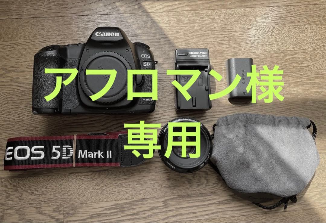 ジャンク］Canon EOS 5D Mark II 本体