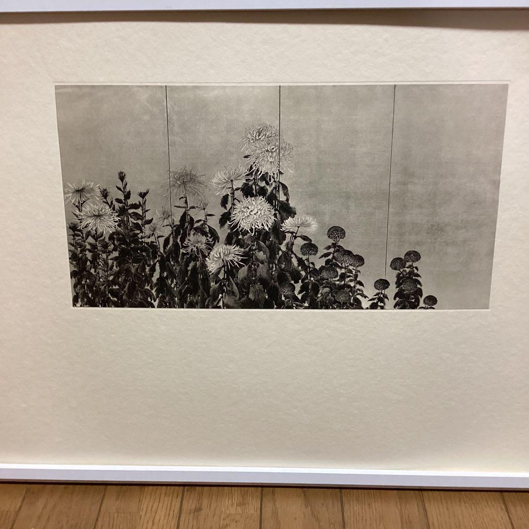 天才画家　速水御舟　作品集大作編　便利堂監修　画集NO 9 【菊花図】