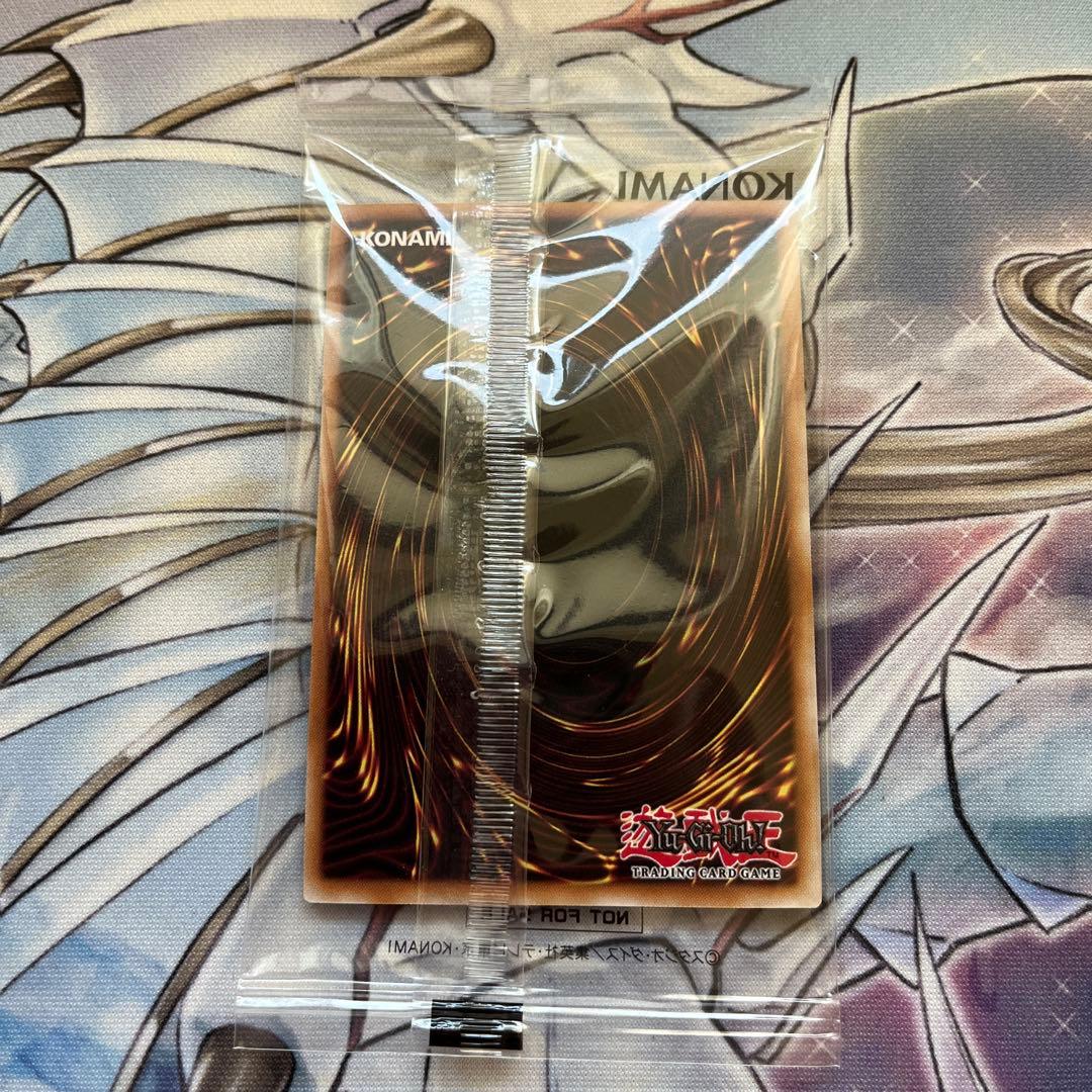 2025年　日本選手権　優勝　プロモ