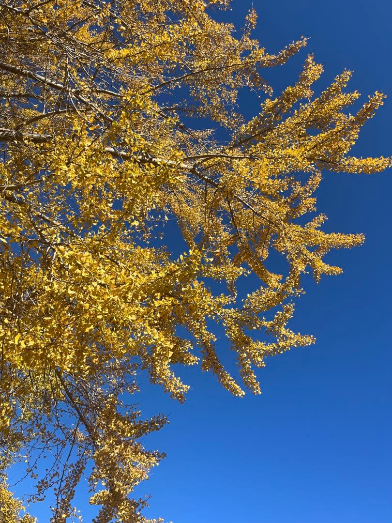 ぺぺ 専用ペイジ パページ Berlin's Ø27 Adds the Adidas ZX 8000 to Their