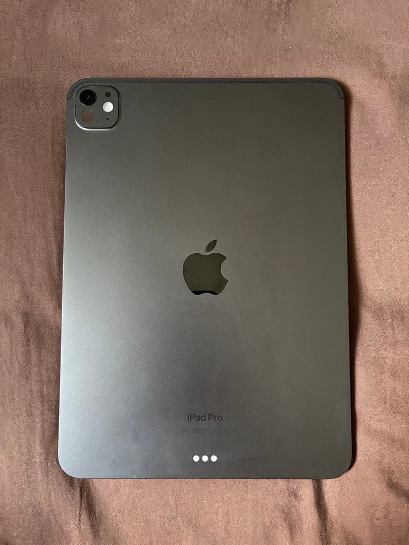 早い者勝ち】iPad Pro 11in M4 バッテリー100% 256GB