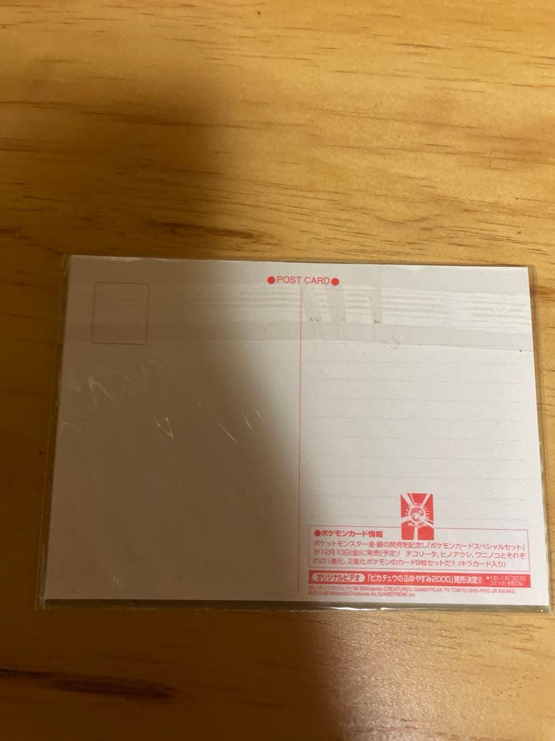 ポケットモンスター　ポケモン　ポストカード　ピカチュウのなつやすみ　非売品