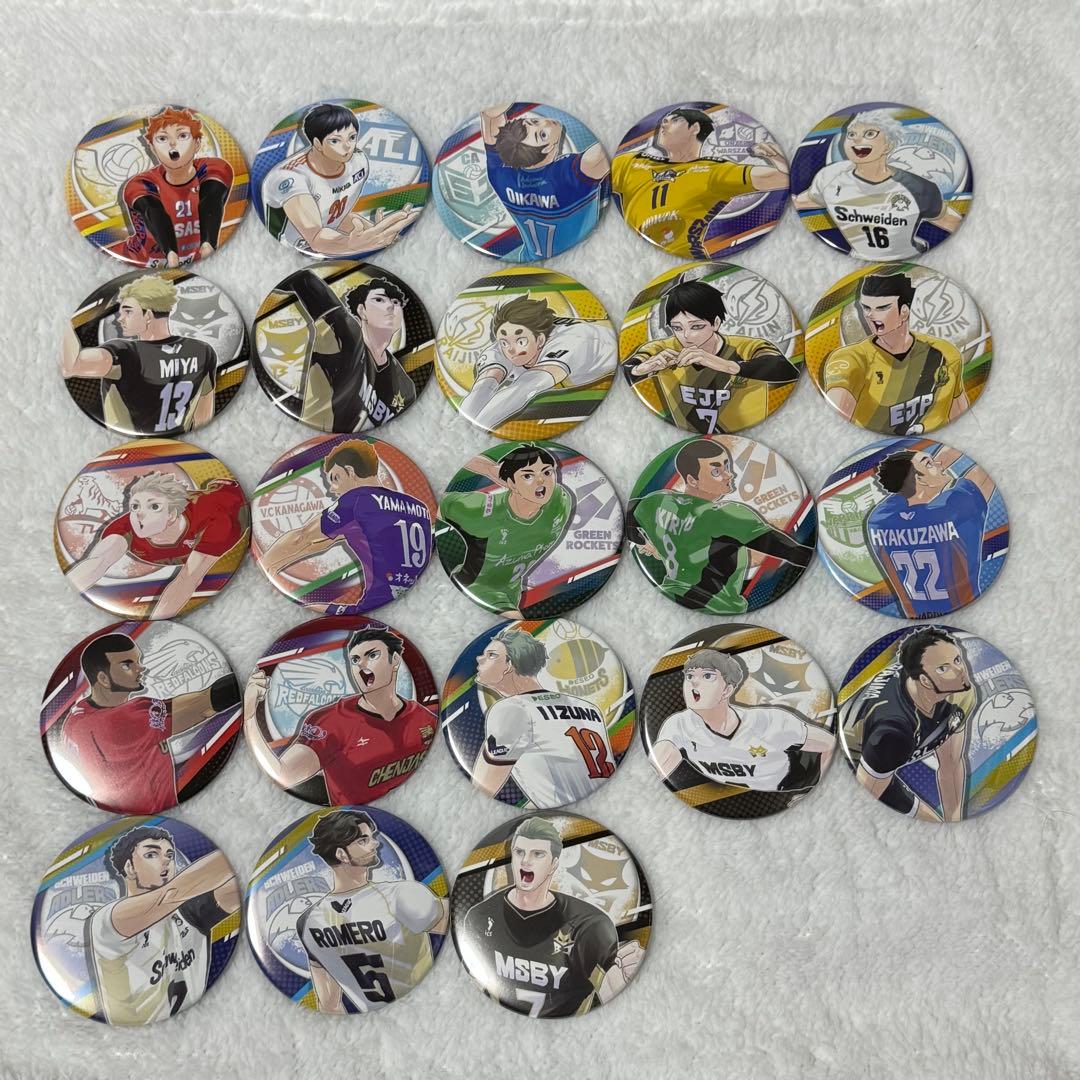 ハイキュー Vリーグ コレクション缶バッジ 23点セット - メルカリ