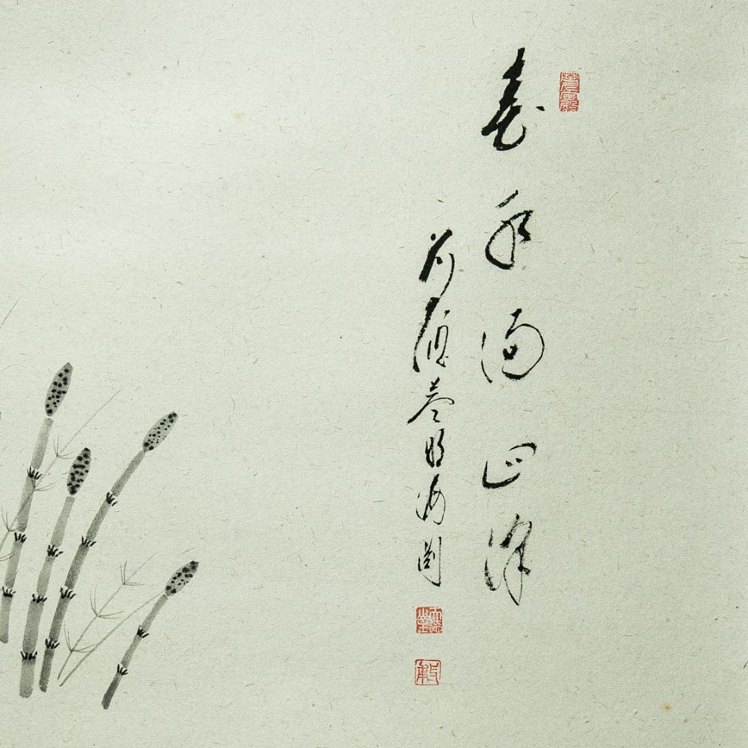 掛軸-1718 大徳寺派 矢野海渕 土筆画賛 「春色満四澤」 共箱 - メルカリ