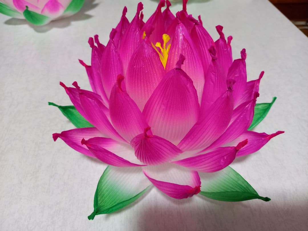 蓮の花の紙89 8色　24個　蓮の紙　韓紙　ハスの花　韓国