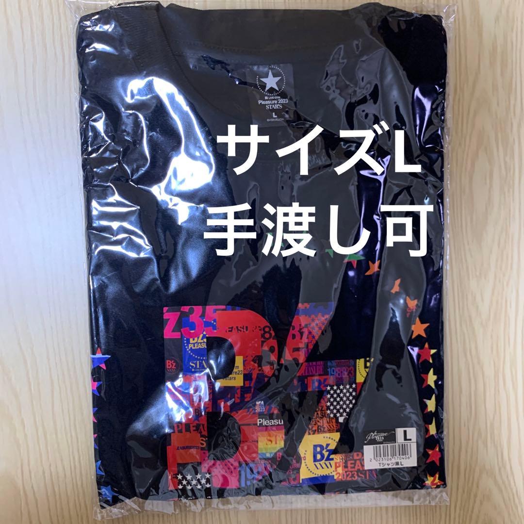 ELLEGARDEN エルレガーデン パーカー 新品Lサイズ 細美武士