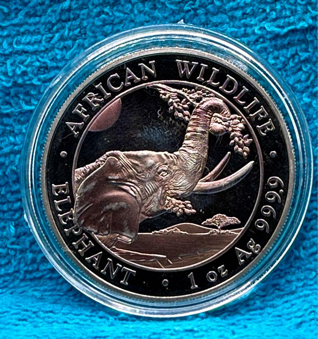 31.1グラム 2023年 (新品) ソマリア「アフリカ ワイルドライフ・ゾウ