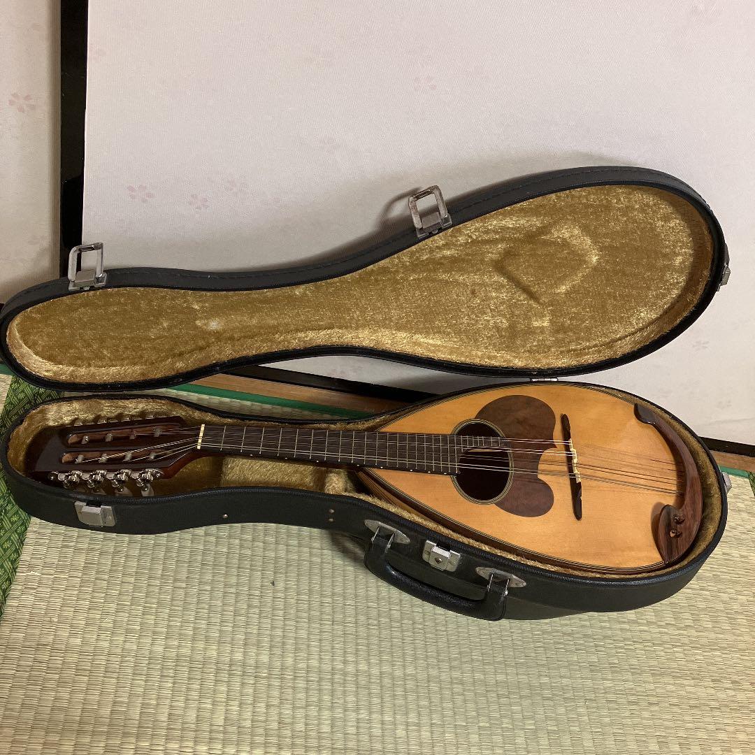 SUZUKI M-30 マンドリン ハードケース付き SUZUKI M-30 マンドリン