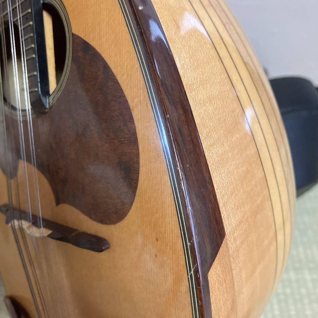 SUZUKI M-30 マンドリン ハードケース付き SUZUKI M-30 マンドリン